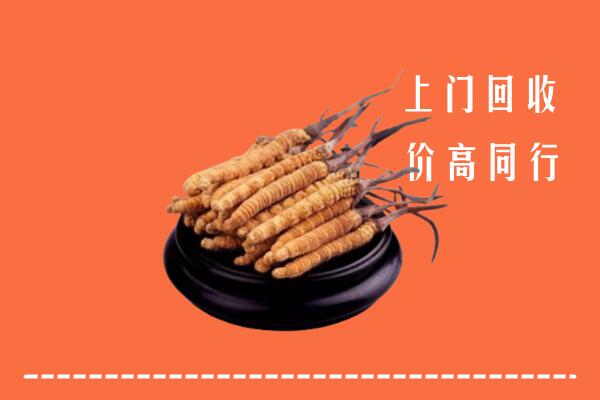 高价求购：凉山州普格回收散虫草