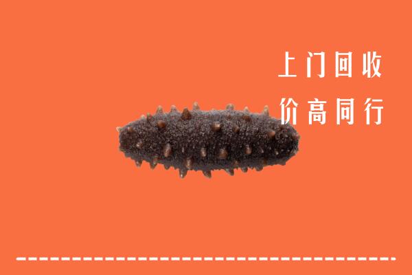 高价求购：凉山州普格回收海参