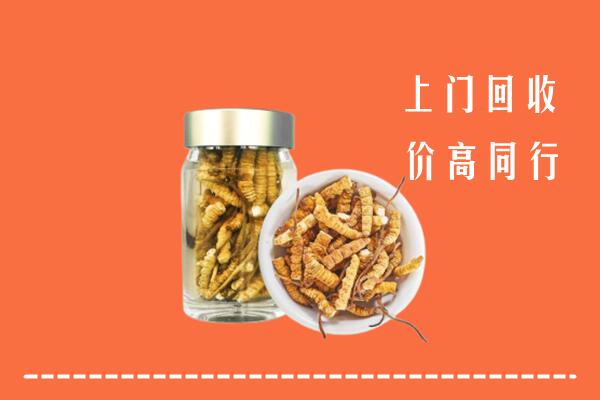 凉山州普格回收冬虫夏草