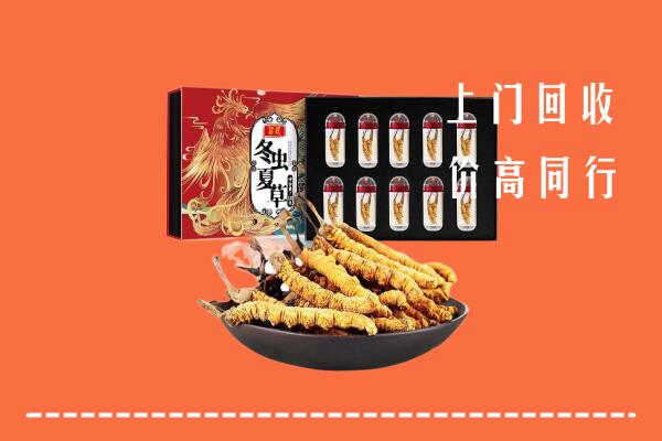 凉山州普格回收虫草